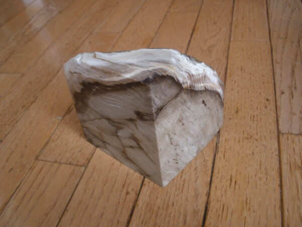 LARGE PETRIFIED WOOD STONE - Book End