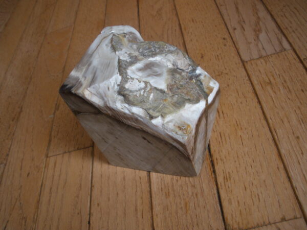 LARGE PETRIFIED WOOD STONE - Book End - Image 3