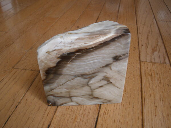 LARGE PETRIFIED WOOD STONE - Book End - Image 4
