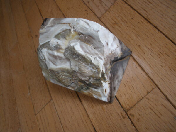 LARGE PETRIFIED WOOD STONE - Book End - Image 5