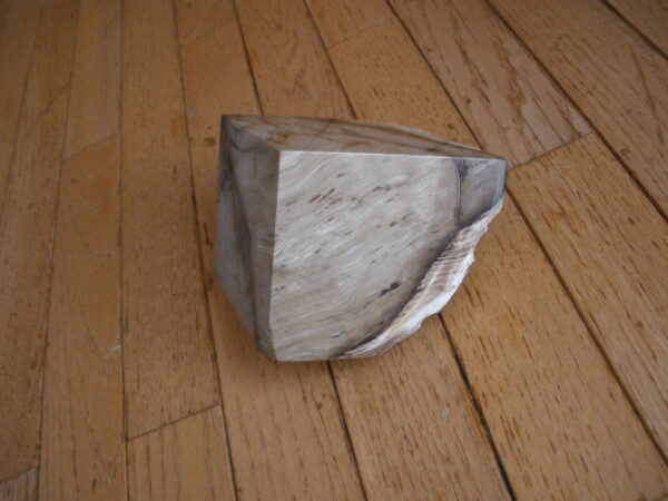 LARGE PETRIFIED WOOD STONE - Book End - Image 6