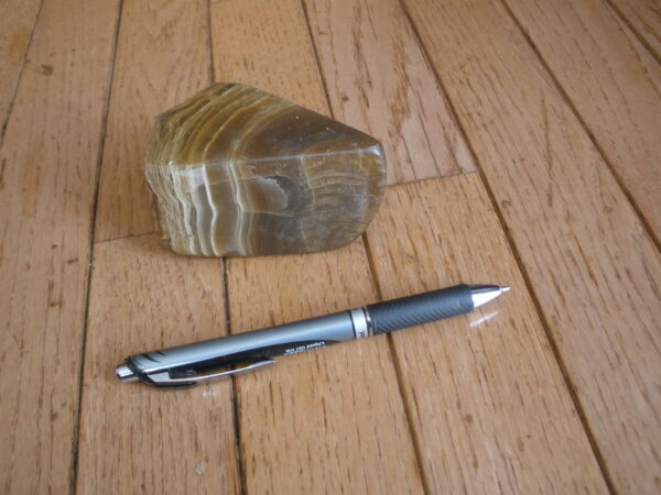 PETRIFIED WOOD - STONE WEDGE