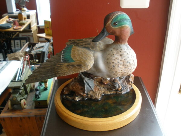 Vintage MOUNTED GREEN WING TEAL DUCK DECOY