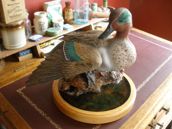 Vintage MOUNTED GREEN WING TEAL DUCK DECOY - Image 6