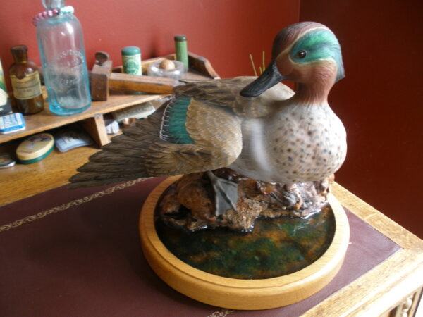 Vintage MOUNTED GREEN WING TEAL DUCK DECOY - Image 8
