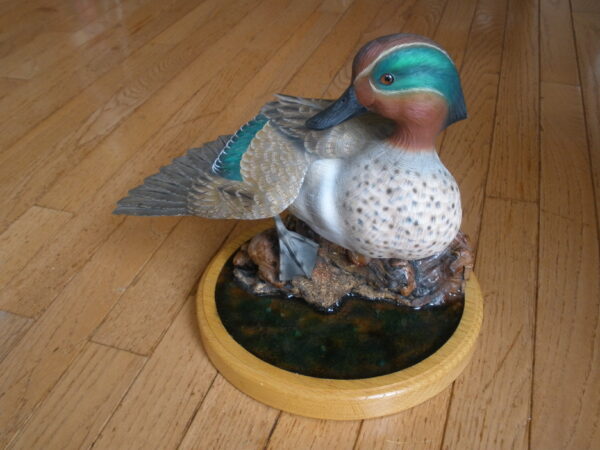 Vintage MOUNTED GREEN WING TEAL DUCK DECOY - Image 9