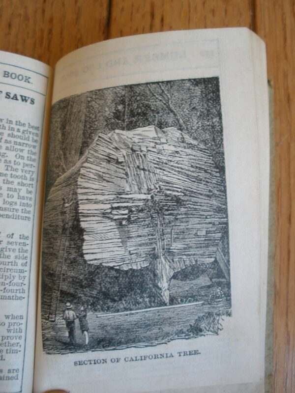 Original 1904 SCRIBNER'S LUMBER & POCKET LOG BOOK - Image 4